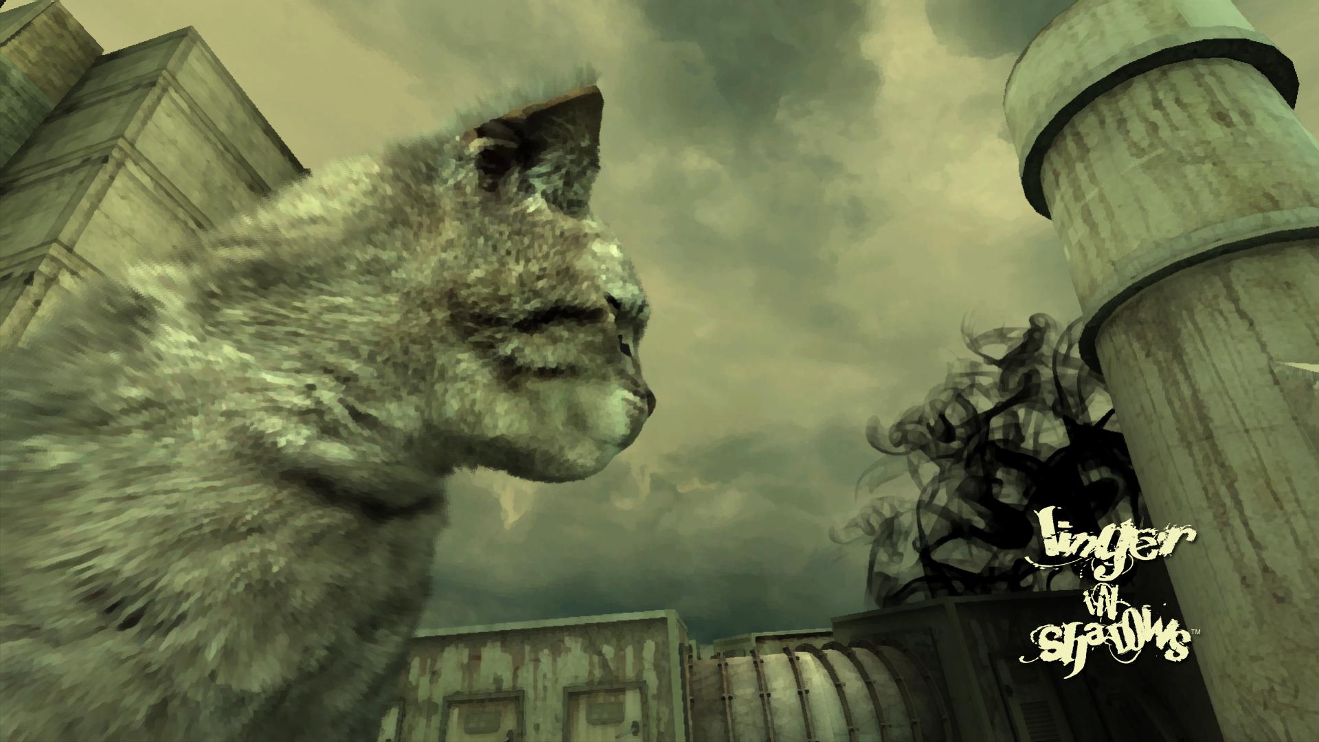 lingerinshadows_wallpapers_1080_cat