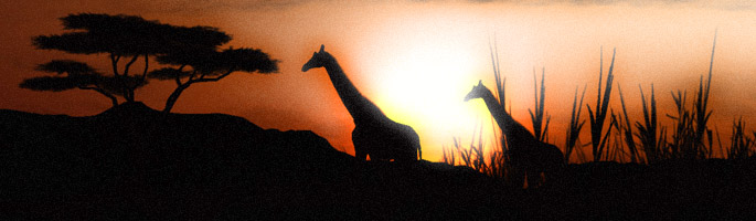 afrika-giraffes