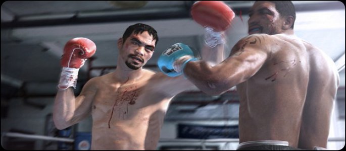 feature-fight night champion