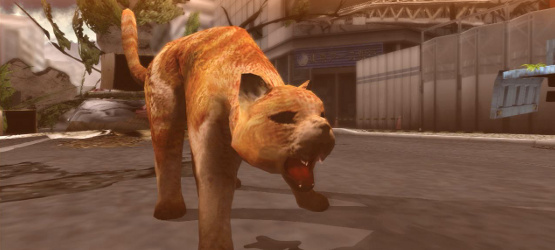 Tokyo-Jungle-Review-2