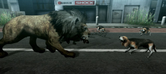 Tokyo-Jungle-Review-4