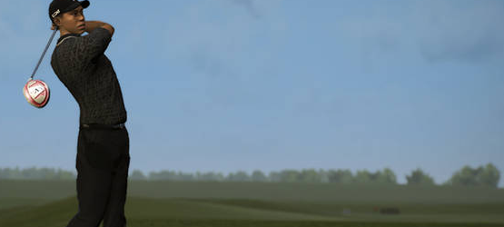 tigerwoodspgatour14lookingforholes