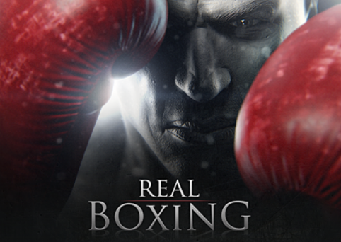 Real Boxing