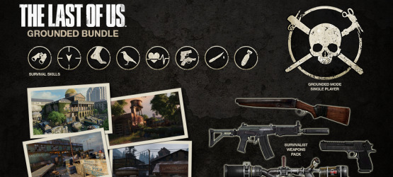 thelastofusgroundedbundle1