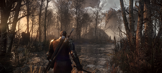 The Witcher 3 The Wild Hunt 5