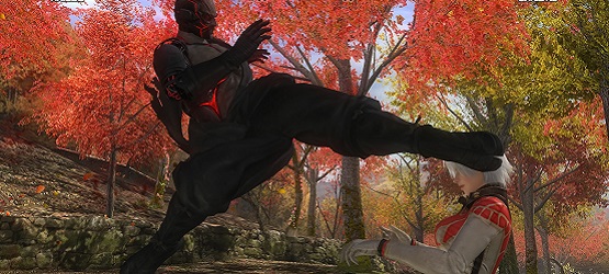 DEAD OR ALIVE 5 Last Round_20150220010112