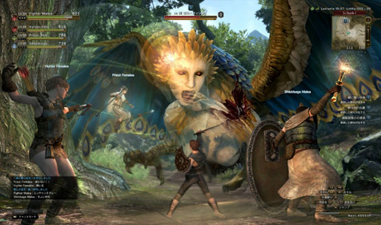Dragons Dogma Online