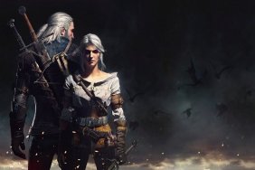 the witcher series