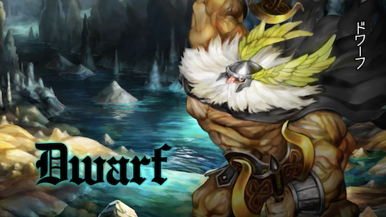 Dragons Crown Pro Dwarf