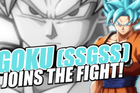 Dragon Ball FighterZ SSGSS Goku