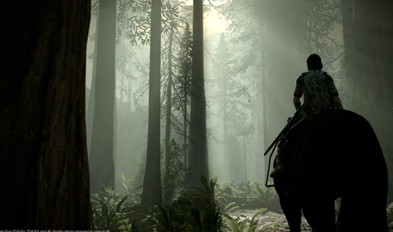 Shadow of the colossus