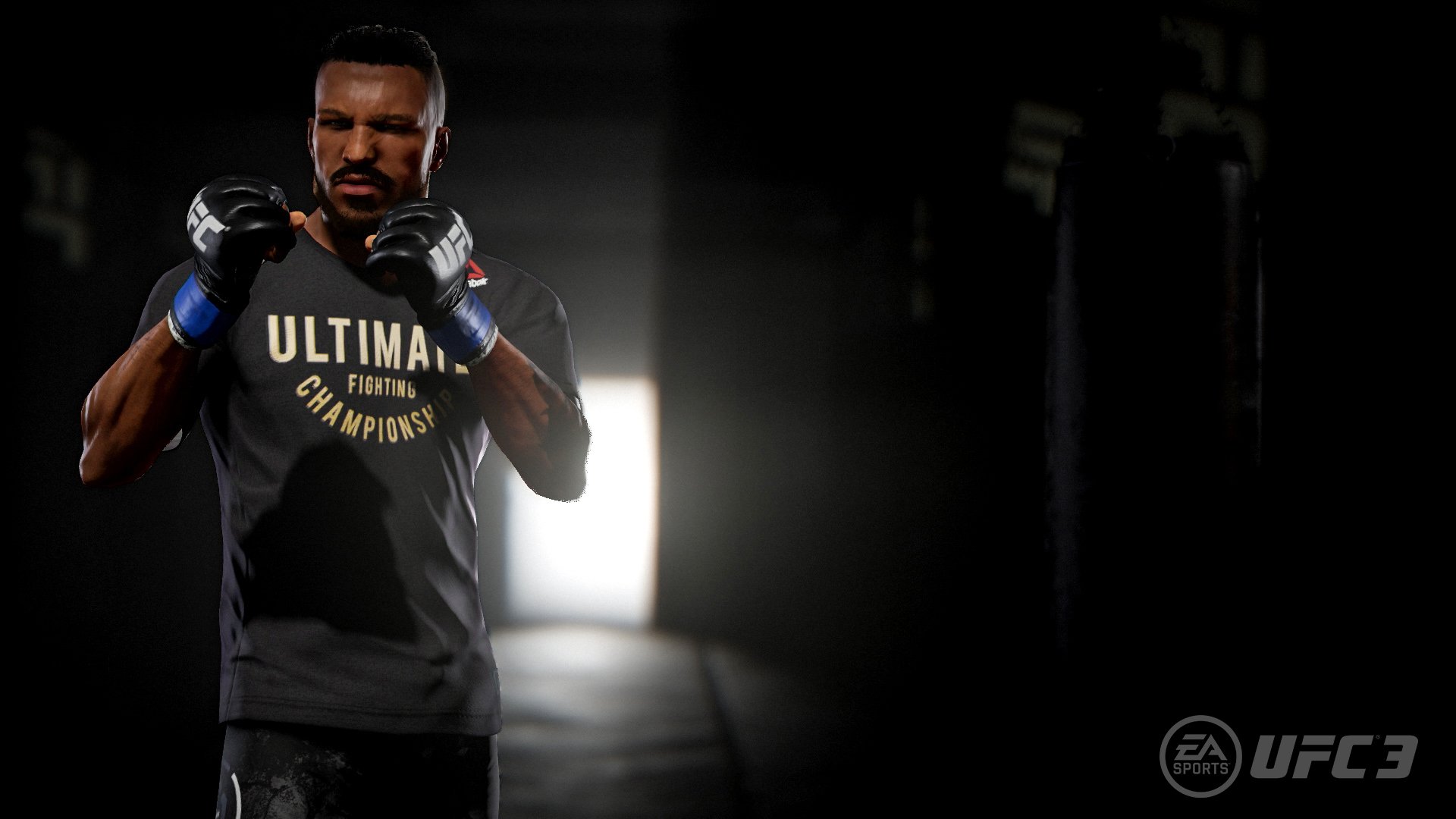 EA Sports UFC 3 career mode