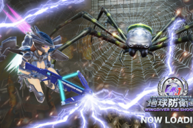 Earth Defense Force 4.1 Wing Diver The Shooter Import Guide
