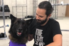 The Last of Us 2 Dogs