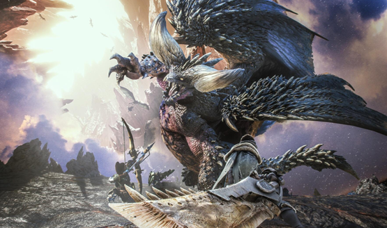 Monster Hunter Health bars