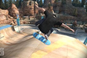 skate 4