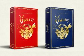 owlboy limited edition