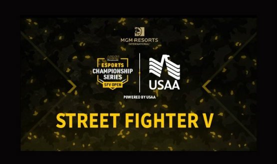 us army street fighter