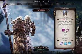 Divinity Original Sin 2 Definitive Edition With Revamped Arena Mode