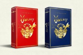 Owlboy Limited Edition Release