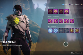 Destiny 2 ammo synths