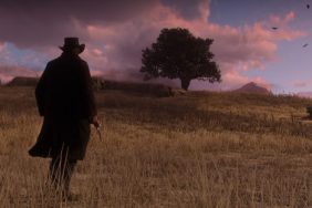 Red Dead Redemption 2 Distribution Issues