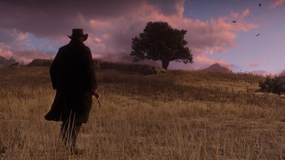 Red Dead Redemption 2 Distribution Issues