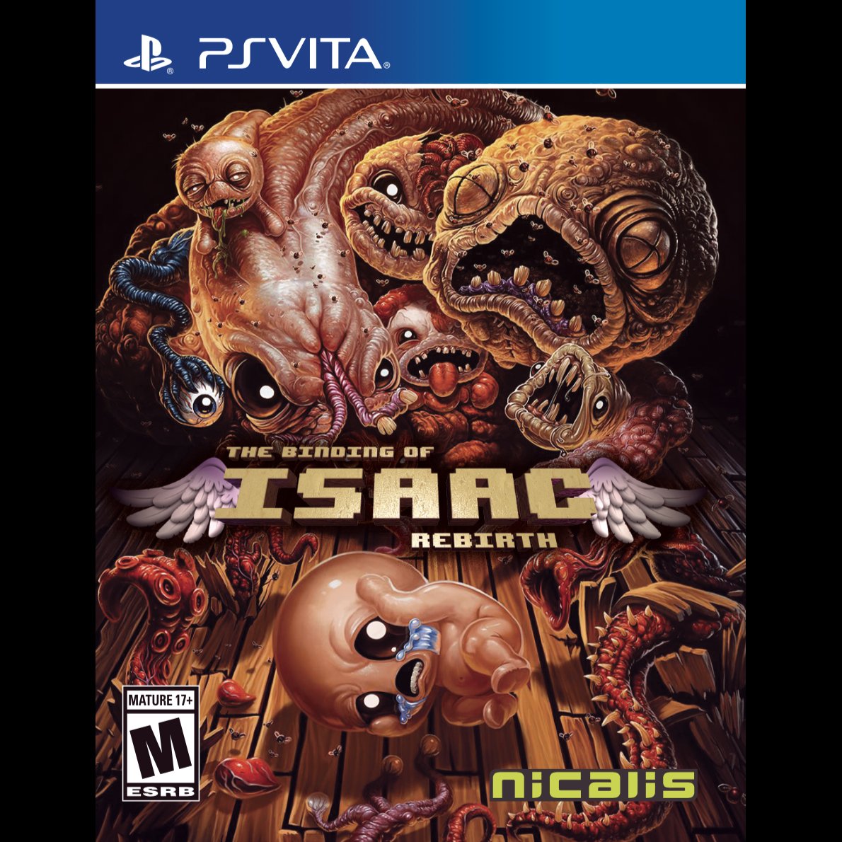 The Binding of Isaac rebirth physical