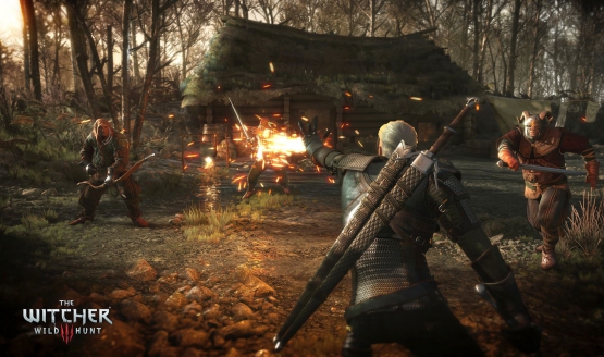 the witcher 3 combat