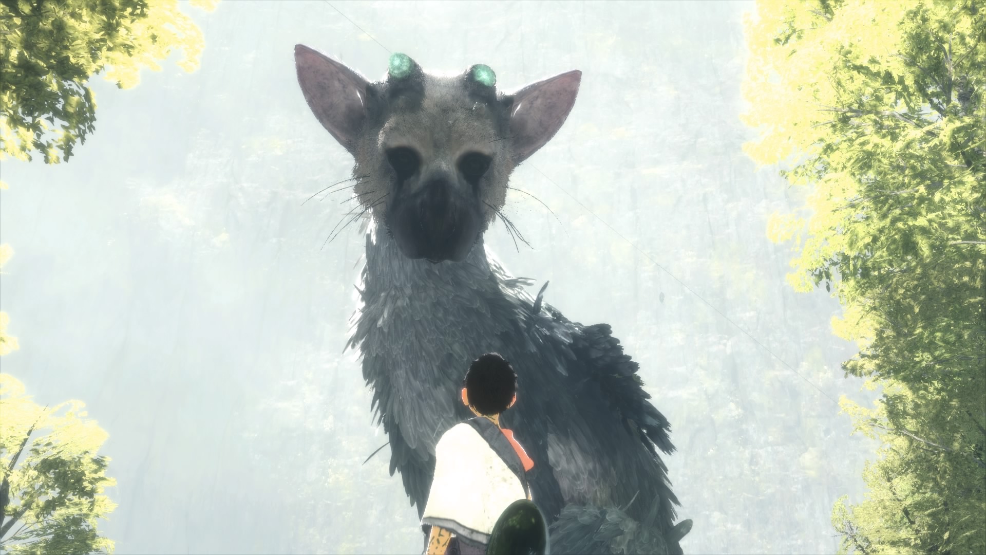 Трико песни. The last Guardian. Трико ласт Гардиан. Трико the last Guardian. The last Guardian Art.