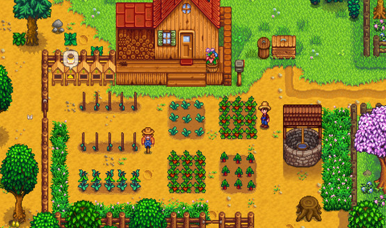 stardew valley collectors edition