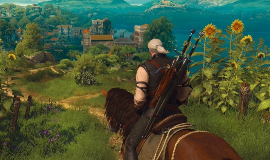 the witcher 3 roach