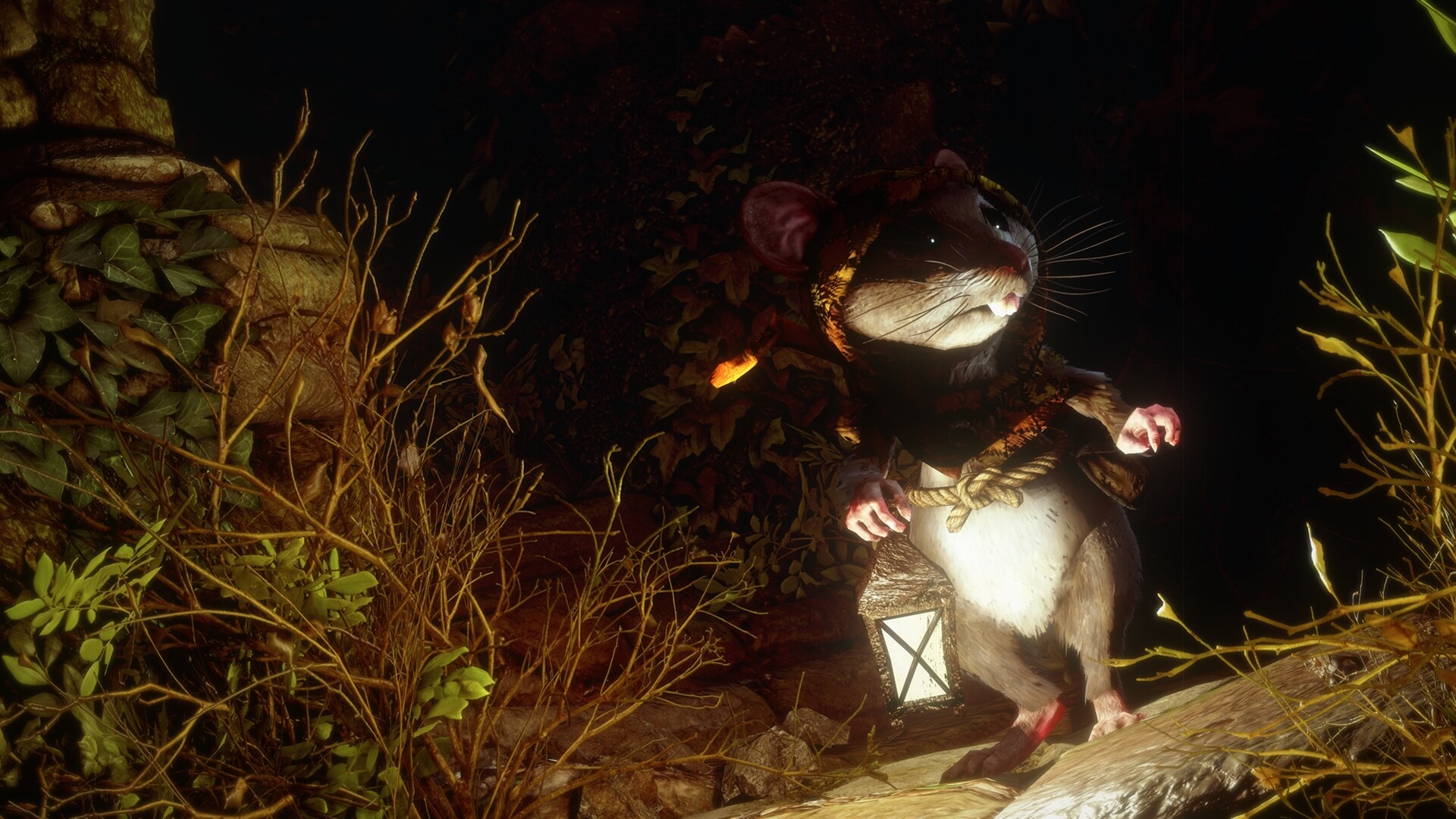 Ghost of a Tale release date