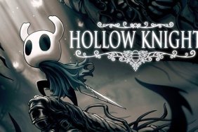 hollow knight physical