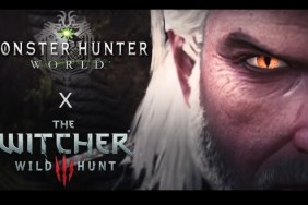 Monster Hunter World The Witcher