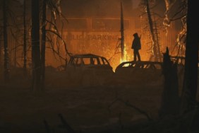 the last of us part 2 ps4 theme