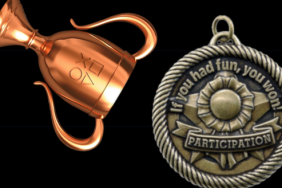 PS4 Participation Trophy