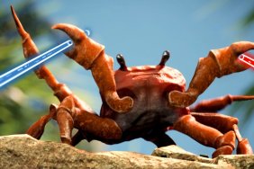 Free beat saber song crab rave