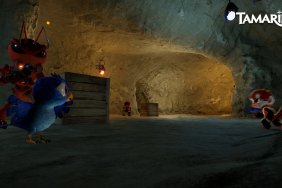Tamarin Is Coming To The PlayStation 4