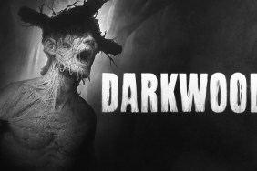 Darkwood Console Release Date Announced