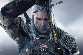 the witcher tv series