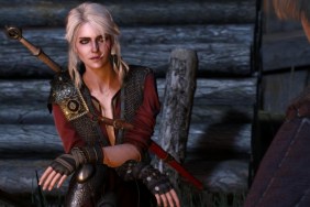 dark horse witcher 3 figures