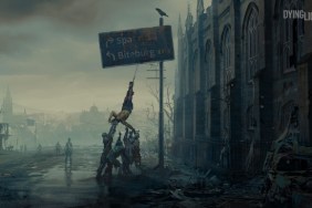 dying light reception