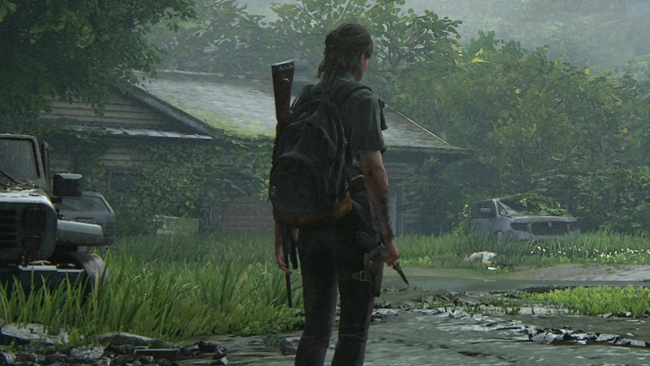 the last of us part 2 character