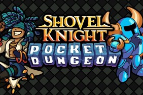 New Shovel Knight Game