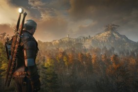 the witcher sales