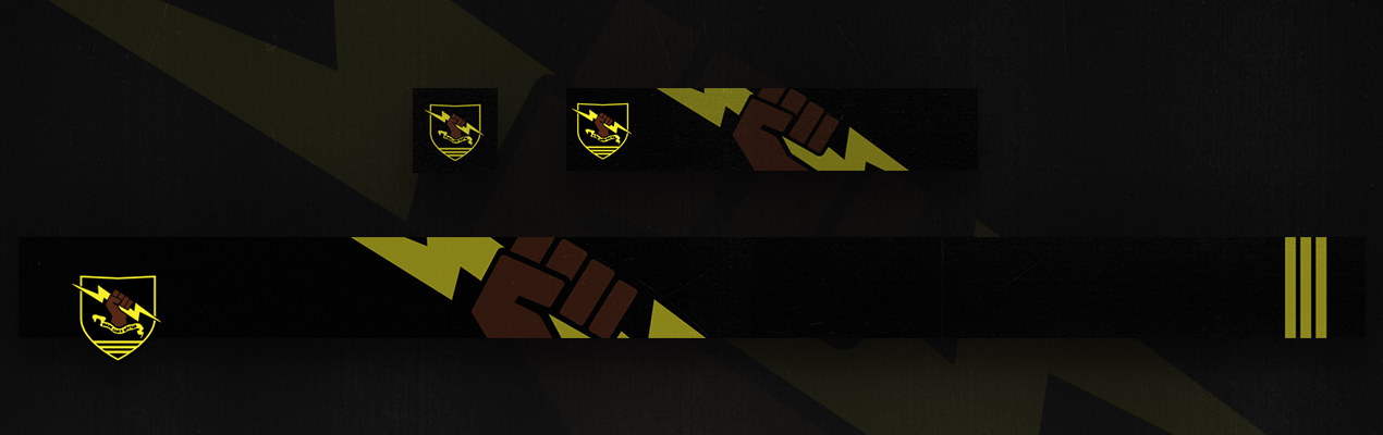 Destiny 2 black lives matter emblem be heard