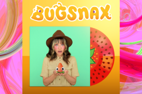 bugsnax theme vinyl