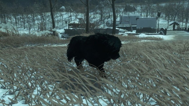 ghost of tsushima dogs