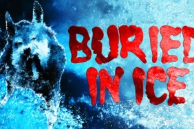 buried in ice game